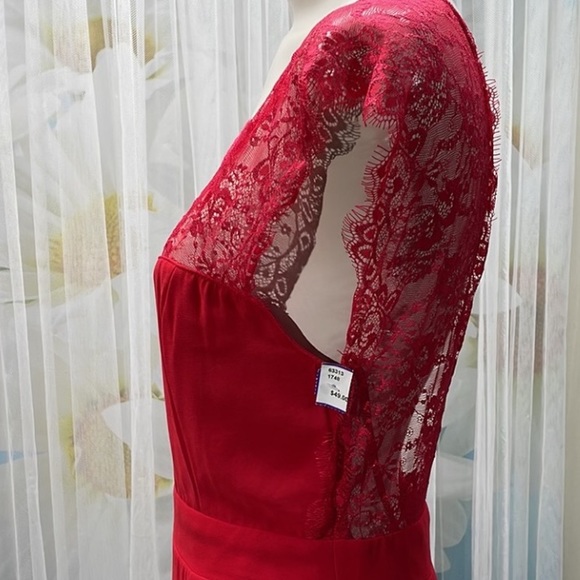 Elise Ryan Red Sleeveless Laced Sheer Maxi Occasion Dress - Picture 10 of 12